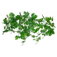 LUCKY REPTILE Декоративное растение для террариумов "Gape Leaf Vine"
